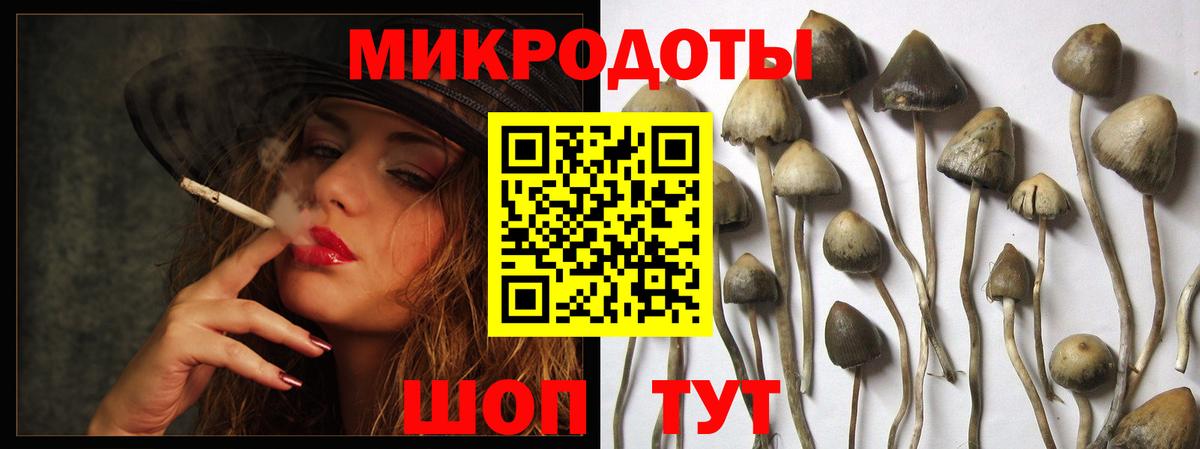 Псилоцибиновые грибы GOLDEN TEACHER Северодвинск