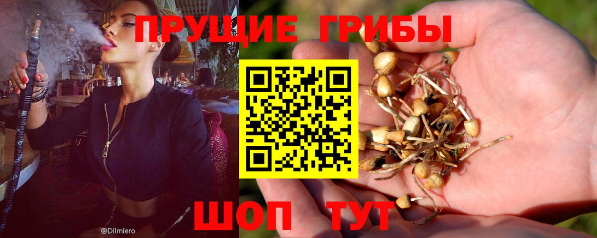 Северодвинск  Псилоцибиновые грибы Magic Shrooms  Вход с VPN 